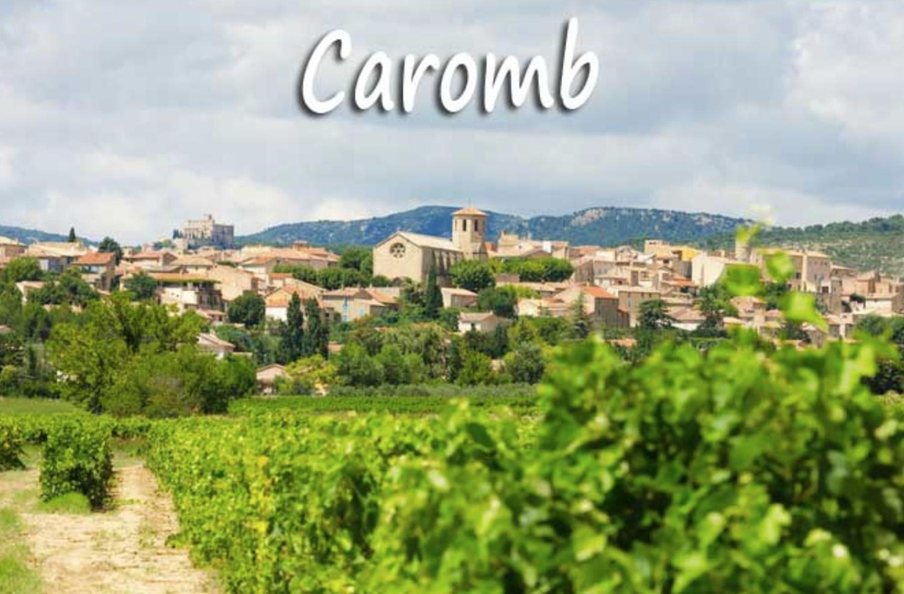 Belle Maison Provencale Au Pied Du Mont Ventoux Caromb Екстериор снимка